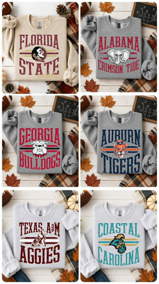 DISTRESSED COLLEGE TEES/SWEATSHIRTS