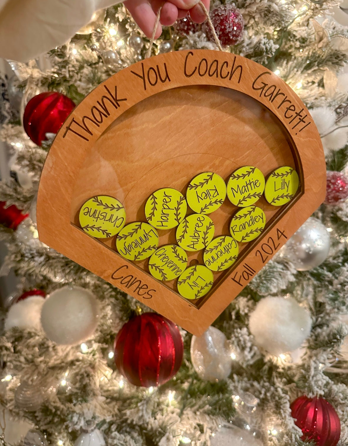 Softball Coach shadow box frame